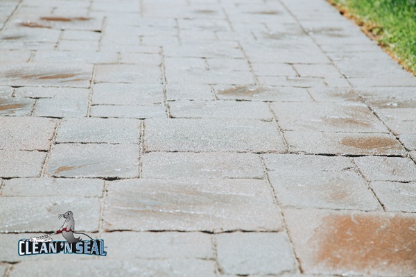 Discover the Best Eco-Friendly Paver Sealing Options in Minneapolis